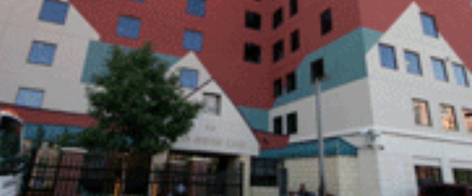 The Benefits of Volunteering at Charitable Organizations in Blaine, Minnesota