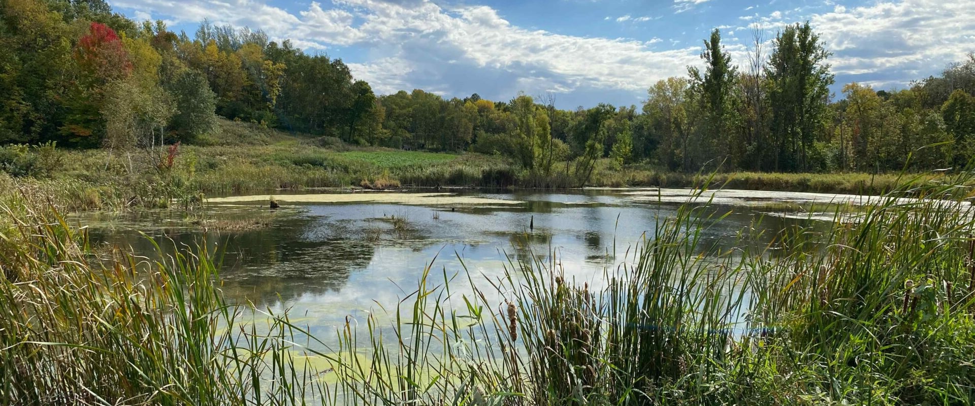 Exploring the Environmental and Conservation Scene in Blaine, Minnesota