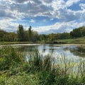 Exploring the Environmental and Conservation Scene in Blaine, Minnesota