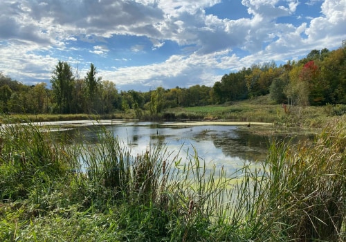 Exploring the Environmental and Conservation Scene in Blaine, Minnesota